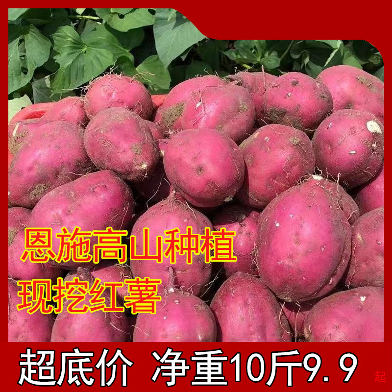 新鲜现挖板栗蜜薯龙九红薯地瓜蜜薯红薯红皮黄心蜜薯番薯图片
