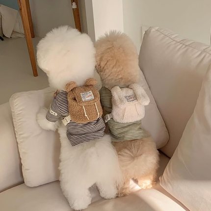 ins狗狗猫咪外出宠物背包可爱书包零食包泰迪比熊博美衣服可牵引