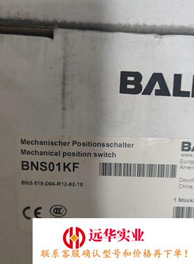BNS 819-D04-R12-62-10 BNS01KF巴