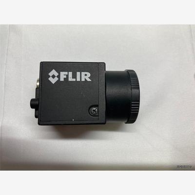 加拿大FLIR相机 BFLY-PGE-31S4M-C 201