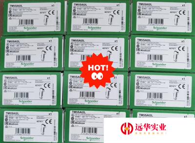 施耐德TM5模拟量输入模块 TM5SAI2L