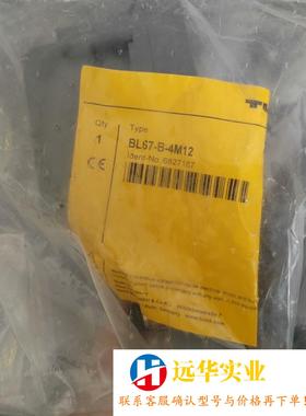 图尔克BL67-B-8M8 6827188图尔克模块