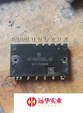 NFAM5065L4B  模块
