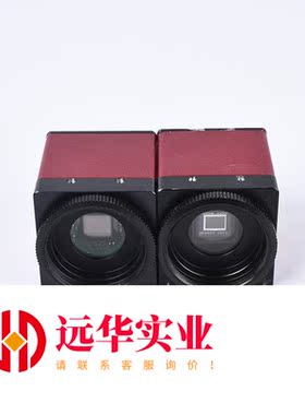 AVT GF 503B ASG/GF 080B ASG黑白工