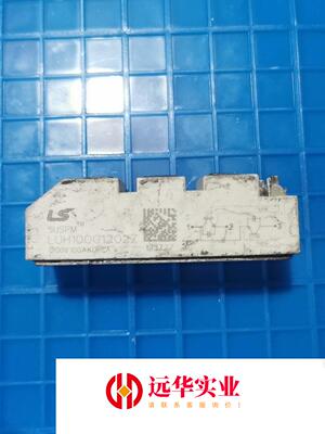 LUH100G1202Z  模块
