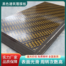 2.44米清水板材 建筑模板工地工程用黑色覆膜1.22 免费拿样