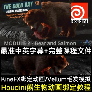 Houdini教程生物环境CG熊吃鱼动画KineFX绑定Vellum毛发系统模拟