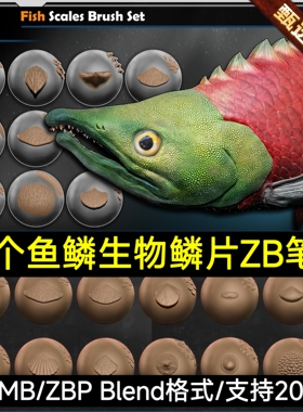 ZBrush鱼类海洋生物动物鱼鳞龙鳃鳞片鱼尾圆鳞雕刻ZB笔刷鱼鳍鱼尾