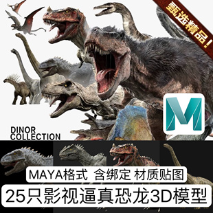 maya高精度恐龙霸王龙动物生物骨骼绑定角色影视3D模型Turbosquid