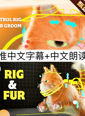 CONTROL RIG & FUR Groom Premium Tutorial | Unreal Engine 5