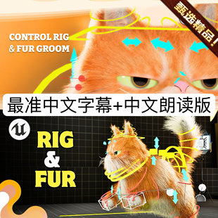 FUR Groom Engine RIG Unreal Tutorial  CONTROL Premium