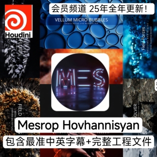 Houdini教程Mesrop Hovhannisyan会员频道流体布料解算含工程25年