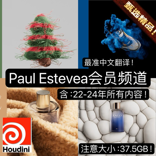 Houdini教程 Paul Esteves 动态图形 22-24年内容 包更新完整文件