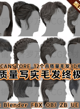 3DScanStore Realtime Hair Pack 12个高质量男女插片毛发3D模型
