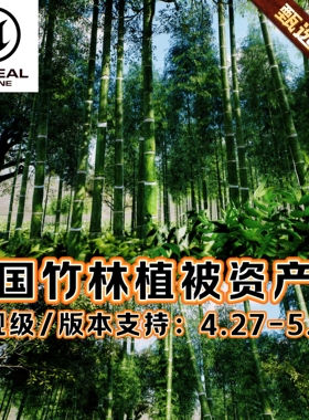 UE5虚幻5影视级逼真中国竹林场景森林竹子灌木植被黑神话模型资产