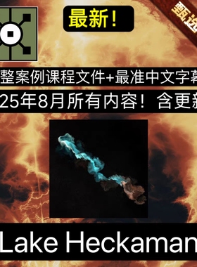 Lake Heckaman会员订阅P站23-25年Touchdesigner案例教程 包更新