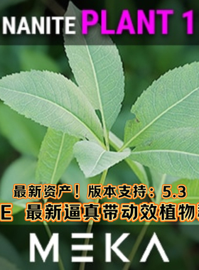 UE5虚幻5.3 Nanite Plant 1 逼真植物群落道具带动效自然场景