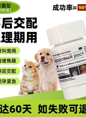 狗狗避育孕事后母狗长效绝育抑紧急防止发情宠物猫咪犬猫通用狗孕