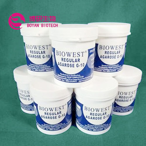 Agarose 琼脂糖100G 西班牙原装进口 科研生化实验室用9012-36-6