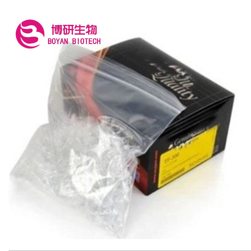 TF-300 Axygen/爱思进 0.5-10ul透明滤芯吸头1000支/包 实验耗材