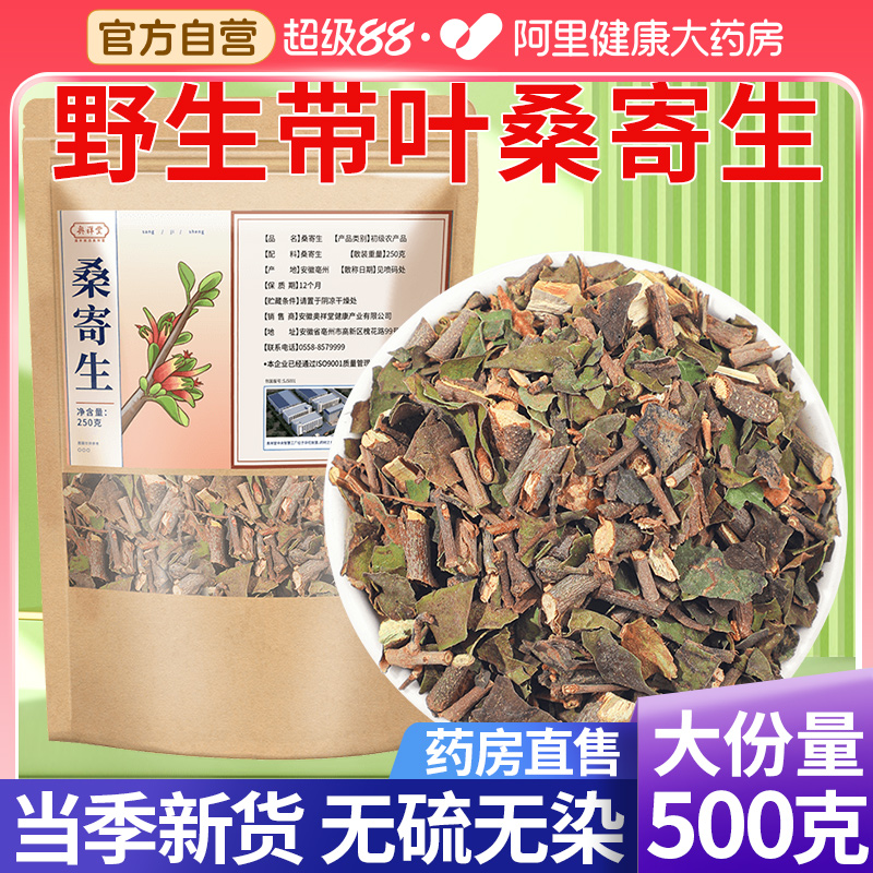 野生桑寄生中草药材桑树季桑寄生茶正品的功效新鲜干货泡水喝官方