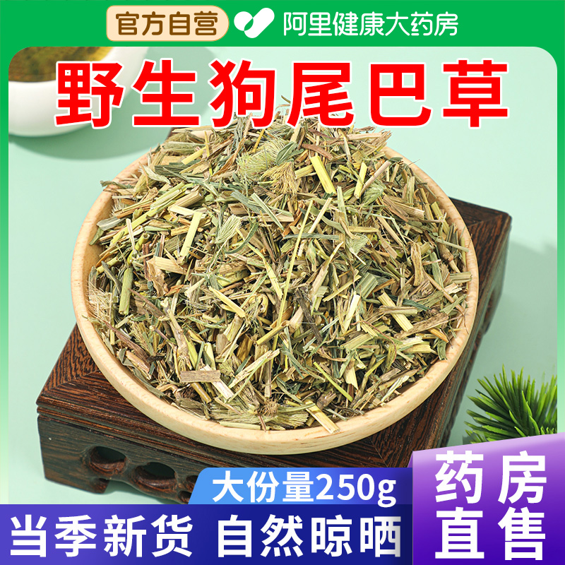 【药房直售】狗尾巴草光明草正品