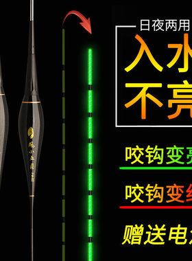 隐形偷鱼夜光漂入水不亮咬钩变亮日夜两用全绿阴天尾高亮电子浮漂