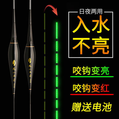 隐形偷鱼夜光漂入水不亮咬钩变亮日夜两用全绿阴天尾高亮电子浮漂