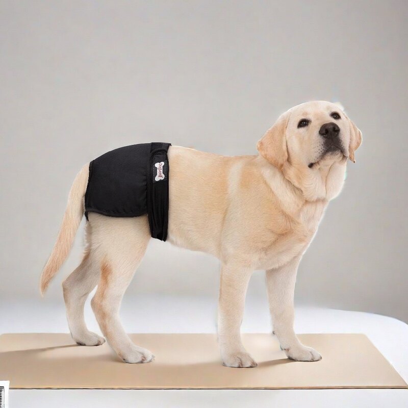 生理裤女狗卫生裤金毛柴犬经期月经裤大姨妈狗狗宠物例假裤子