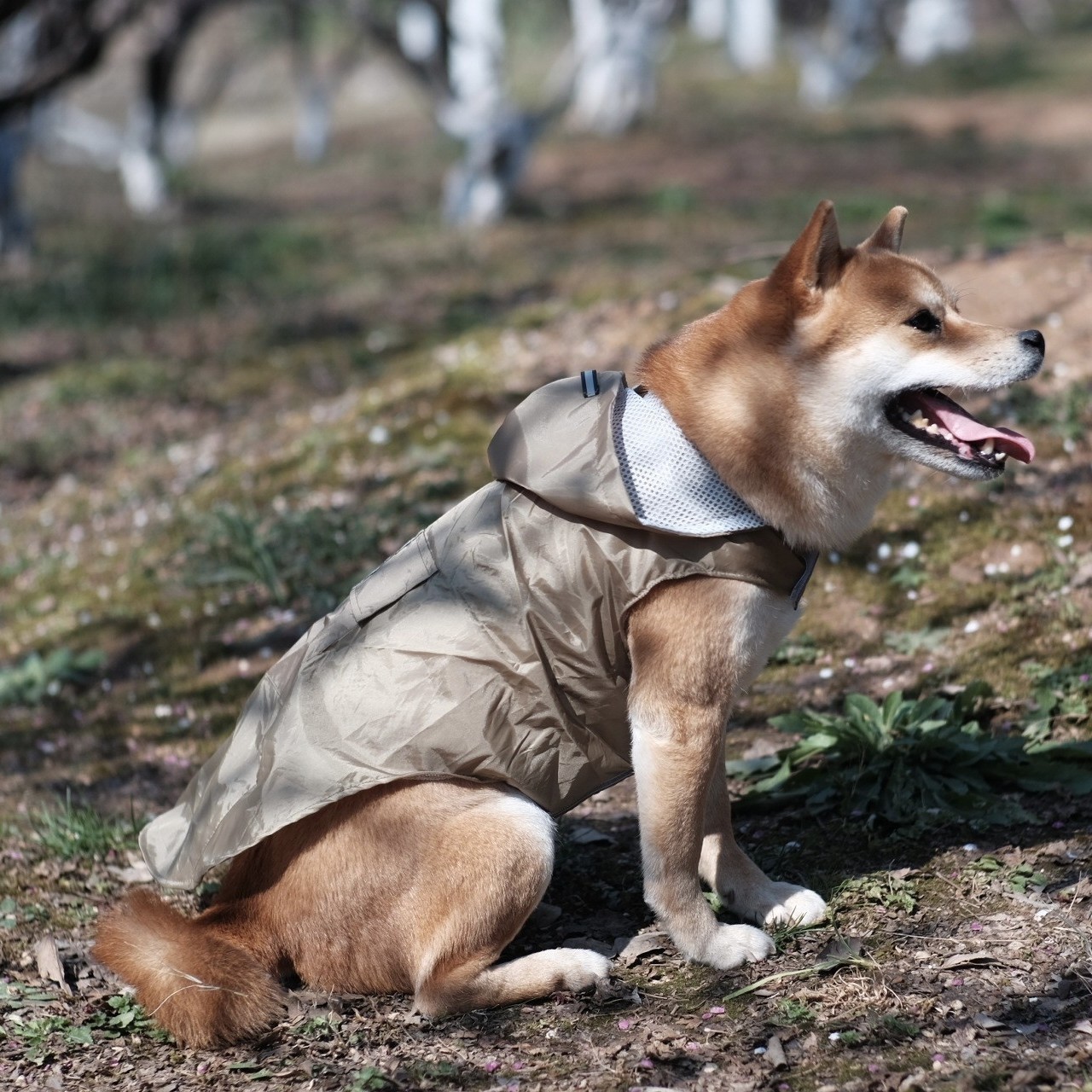 宠物反光中大型犬柴犬雨衣小狗冲锋衣雨披防水防风连帽狗狗衣服