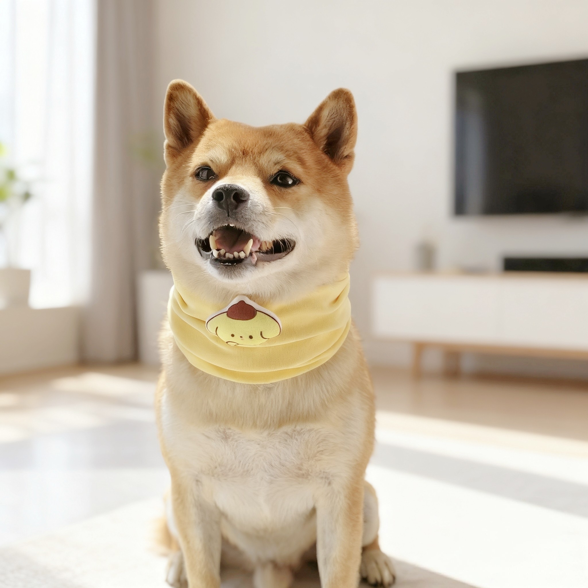 宠物口水巾柴犬猫咪狗狗幼犬通用小型犬防脏脖套卡通弹力可爱围脖,宠物/宠物食品及用品,围巾/口水巾,淘宝优惠券,粉丝福利购,淘宝优惠卷