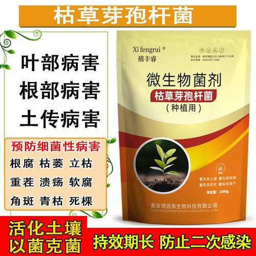 1000亿枯草芽孢杆菌种植专用农用微生物菌剂正调土壤抑病菌防死棵