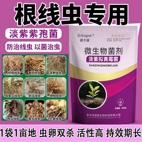 根结线虫专用淡紫拟青霉淡紫孢菌正品生物菌剂非阿维菌素线虫套餐