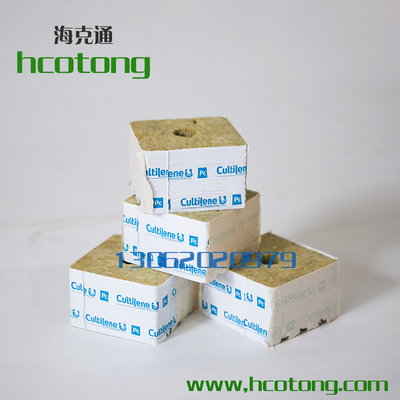 进口农用岩棉育苗块海克通