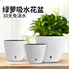 绿萝花盆绿箩专用懒人自动自吸水储水盆塑料圆形白色套盆养花花盆