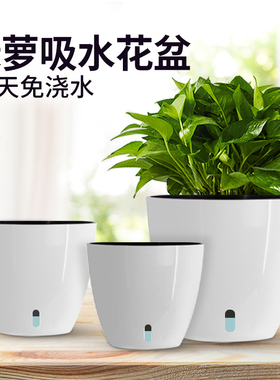 绿萝花盆绿箩专用懒人自动自吸水储水盆塑料圆形白色套盆养花花盆