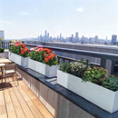 阳台花盆长方形长条花槽种菜盆室外花箱露台种花种植专用箱自吸水