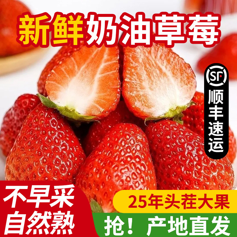 新鲜自然熟奶油草莓孕妇水果当季现摘时令水果过年送礼顺丰包邮,水产肉类/新鲜蔬果/熟食,草莓,淘宝优惠券,粉丝福利购,淘宝优惠卷