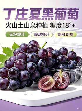  正宗句容丁庄夏黑葡萄无籽黑珍珠现摘新鲜时令水果产地冷链直发