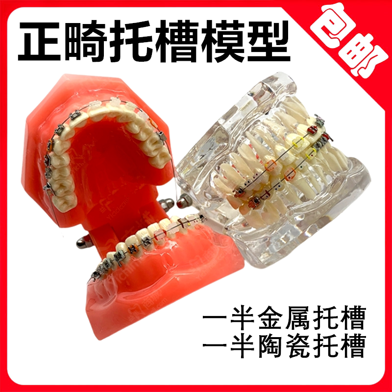 正畸托槽模型练习模型