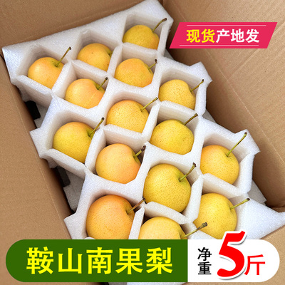 鞍山南果梨5斤正宗东北特产南国梨香水梨子大果新鲜冻梨孕妇水果