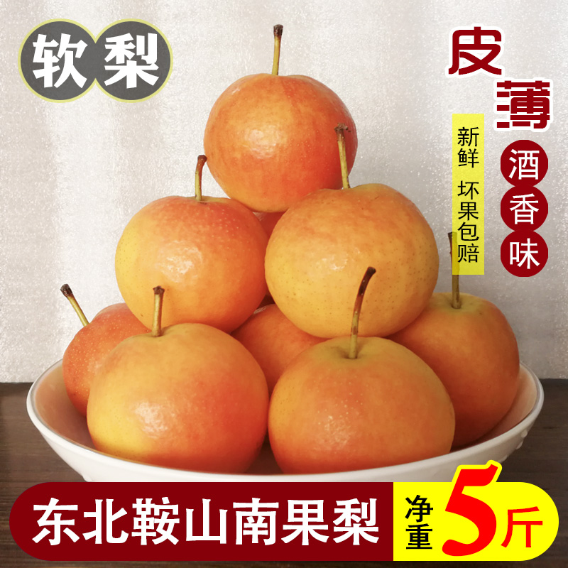 东北特产辽宁鞍山南果梨5斤包邮海城南国梨小香水梨新鲜孕妇水果