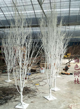 厂家直销白桦树枝白桦树枯枝白树酒店橱窗装饰造型树婚庆树干枝条