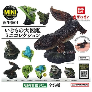 万代BANDAI 5款 生物大图鉴 第一弹 可选 两栖类 扭蛋盒蛋