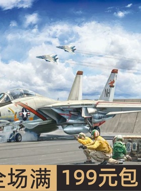 伊达雷利 1/72 F-14A 雄猫“第一次飞行50周年涂装