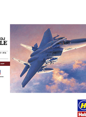 长谷川拼装模型 1/48 F-15J/DJ 鹰 战斗机 07251