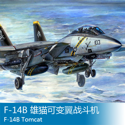 小号手 1/32 F-14B 雄猫可变翼战斗机 03202