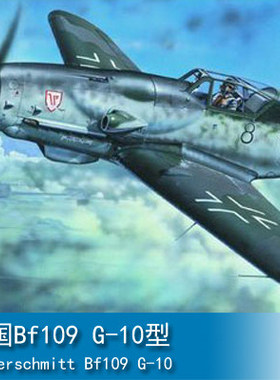小号手 1/24 Bf109 G-10型 02409