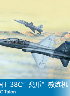 小号手 1/48 美国T-38C”禽爪”教练机 02877