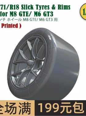 FAT FROG1/24 18寸 M8 GTE/ M6 GT3 31/71 轮圈轮胎模型 FW24005